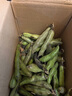 乔诚云南新鲜生大绿心带壳蚕豆米嫩胡豆罗汉豆角大青豆荚时令蔬菜现摘 5斤 实拍图