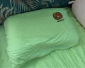 邓禄普（Dunlopillo）ECO蝶型枕 斯里兰卡进口天然乳胶枕头 颈椎枕  实拍图