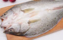 仙泉湖三去白蕉海鲈鱼 400g/条净膛冷冻刺少肉厚特产海鲜水产 实拍图