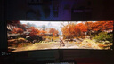 三星（SAMSUNG）49英寸 G93SD OLED 240Hz 双2K 曲面 0.03ms DP1.4 HDMI2.1 玄龙骑士 电竞显示器 LS49DG932SCXXF 实拍图