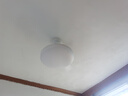 OPPLE风扇灯吊扇灯六档调风LED照明低噪音北欧餐厅卧室吊灯灯具冰风白 实拍图