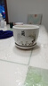 裕轩堂花盆陶瓷家用吊兰蝴蝶兰绿萝带托盘大号个性阳台简约多肉室内套装 梅兰竹菊（四个14厘米） 中等 实拍图