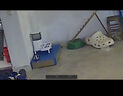 霍曼（Homerun）宠物智能自动喂食器猫粮狗粮定时猫咪自动投食机不锈钢双碗增高版 实拍图