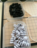 Toylezhi围棋五子棋磁性套装便携折叠棋盘儿童入门教学益智玩具磁石棋盘 实拍图