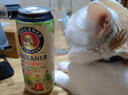 保拉纳（Paulaner）柏龙 经典小麦白啤 500ml*24听 德国进口 苏超 看球 实拍图