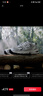 NEW BALANCE NB530官方老爹鞋男鞋女鞋情侣复古网鞋夏季透气网面运动休闲鞋 米白/金属银MR530KA 建议拍小半码 40 (脚长25cm尺码详询客服) 实拍图