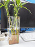 京东鲜花亚克力防摔花瓶插花水养富贵竹透明方形直筒鲜花装饰客厅装饰摆件 实拍图