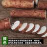 京鲜生 &京活生鲜 广西荔浦芋头 去皮2斤2-3个 新鲜毛芋香芋头 源头直发 实拍图