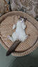 华元宠具（hoopet）猫窝四季通用猫咪床狗狗窝秋冬季保暖宠物沙发小型犬可拆洗睡垫子 实拍图