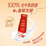 蒙牛（MENGNIU）全程冷链 中华滋养红枣枸杞风味酸牛奶 红枣礼盒210g*10瓶 实拍图