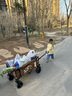 CAMEL熊猫营地车露营野餐拖车买菜溜娃遛狗车聚拢带刹车可躺旅行推车 实拍图
