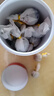 茶样组合茶叶试喝普洱茶红茶白茶普绿茶小茶饼云南生茶熟茶 30颗 茶叶随机60颗 实拍图