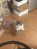 泸旗高粱酒桶装散装泡酒白酒 浓香型纯粮食白酒 52度 5L 1桶 纯粮原浆【醇柔】 实拍图