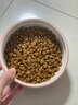 自然光环Halo【小犬鲜肉】进口狗粮小型犬泰迪柯基比熊专用法斗雪纳瑞博美 小犬鱼味4磅1.8kg-效期26.02起 下单抽奖·满赠好礼~详情请入会 实拍图