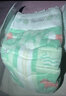 好奇（Huggies）心钻装小森林纸尿裤M50片(6-11kg)中号尿不湿透气夏季超薄 实拍图