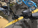 普莱德新国标折叠电动自行车 超长续航电动车 轻骑铝合金代驾车锂电池助力男女通用成人电瓶车代步电单车 豪华版-汽车S级电芯15A-纯电续航≤45km 实拍图