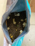 亿迪猫粮冻干幼猫成猫全价全阶段5斤布偶蓝猫英短小包装2.5kg 实拍图