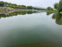 滴露消毒喷雾454ml*2瓶铃兰+454ml*1瓶柑橘鞋子除臭杀菌喷雾 实拍图