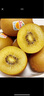 佳沛（zespri）新西兰  阳光金奇异果16粒礼盒经典果单果约 77-103g 水果 猕猴桃 实拍图