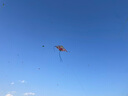 比比奇风筝正版授权超级飞侠乐迪小爱风筝儿童卡通风筝户外亲子玩具 实拍图