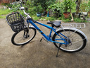 凤凰（Phoenix）自行车男女款式复古普通勤新型省力上班代步轻便变速家用老式单车 钢架蓝色【定位24速】26寸焊特 实拍图