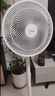 美的（Midea） 电风扇 家用风扇7叶落地扇立式轻音节能大风量电扇台扇迷你扇台立两用转页扇 【店长推荐丨7叶劲风 百万单品】 SAF30AC 家用落地扇 实拍图