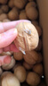楼兰蜜语高品质阿克苏薄皮核桃5斤/箱原味核桃纸皮节日送礼盒每日坚果零食 实拍图