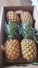 徐闻凤梨金钻十七号 甘蔗凤梨 芒果凤梨 新鲜水果菠萝特产礼箱装 金钻大果10斤装（3-4个） 实拍图