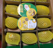 佳沛（zespri）新西兰 阳光金奇异果12粒礼盒特大果单果约122-146g 猕猴桃 水果 实拍图