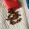 百草味 东北松子 100g（新红版）*4 新老包装随机发 实拍图