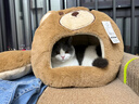 华元宠具（hoopet）猫窝保暖封闭式安全感小猫躲避屋宠物冬天猫窝冬季猫屋猫咪窝大号 实拍图
