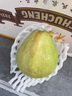 探味君 广西红心芭乐番石榴 新鲜水果生鲜健康轻食带箱 软糯红心芭乐净重4.8斤 实拍图