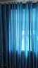 现代简约遮光窗帘加厚卧室窗帘客厅阳台隔断帘窗帘（不带杆） 发财树-天蓝色 宽2.5米*2.2米高一片【打孔款】 实拍图