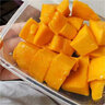 四川攀枝花凯特芒果新鲜当季大芒果 新鲜水果礼盒 10斤 实拍图