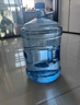 罗菲娜食品级纯净水桶手提式带盖饮水机桶茶吧机售水机打水加厚矿泉空桶 18.9升手提食品级水桶+1个备用盖 实拍图