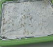 志高（CHIGO）炒酸奶机 炒冰机儿童DIY冰淇淋雪糕机家用沙冰机制冰盘CBP03 绿色 实拍图