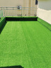 清雅草坪仿真草皮假草围挡户外装饰幼儿园儿童游乐场假草坪人造假草坪 20mm加密优质隔热款 实拍图