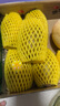佳沛（zespri）新西兰  阳光金奇异果6粒装 单果约77-103g  源头直发  猕猴桃 实拍图