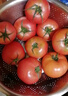 京鲜生&绿行者山东粉番茄净重4.5斤单果100g+生吃沙瓢 源头直发 实拍图