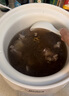 美的（Midea）煲汤电炖锅3-4人用 电砂锅煲汤锅炖汤盅电炖锅直炖紫砂陶瓷炖锅电炖锅2-3人慢炖煮粥煲粥锅电汤煲 白瓷内胆 DG30E201【3L=10碗】 3L 实拍图