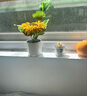 范爷家向日葵仿真花假花摆件客厅桌面盆栽花瓶高级感室内装饰女生日礼物 实拍图
