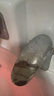 柯锐迩电热水器混水阀把手开关配件淋浴冷热水龙头手柄淋浴花洒混水阀厨房菜盆水龙头开关手柄维修配件 实拍图