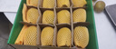 佳沛（zespri）新西兰  阳光金奇异果10粒礼盒巨大果单果约144-175g 水果 猕猴桃 实拍图