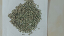 贡苑 花草茶 原味荷叶茶510g 大分量纯荷叶片减养生湿脂肥养生茶包叶 实拍图