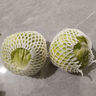 新鲜甘蓝包菜卷心菜新鲜嫩绿莲花白现摘现发到京东来买菜 新鲜包菜 4-5斤 人工挑拣 实拍图