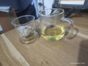 忆壶茶玻璃茶杯个人专用泡茶水分离带盖把手耐热无铅办公室绿茶水杯子 实拍图