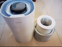 美的（Midea）空气加湿器净化家用轻音卧室桌面办公室除菌小型工业喷雾器空调风扇伴侣女生礼物国家补贴98K 实拍图