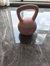 乐系（lexi）软壶铃女健身家用练臀软式壶铃力量训练提壶哑铃 10公斤木槿紫 实拍图