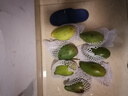 蕊鲜生攀枝花凯特芒果 9斤四川特大青芒果新鲜热带水果当季现摘 9斤A级巨无霸【1斤起】土豪分享装 实拍图