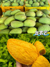 悦诗风吟（Innisfree）火山泥洗面奶150g*2水杨酸绵密泡沫男士净澈控油护肤 实拍图